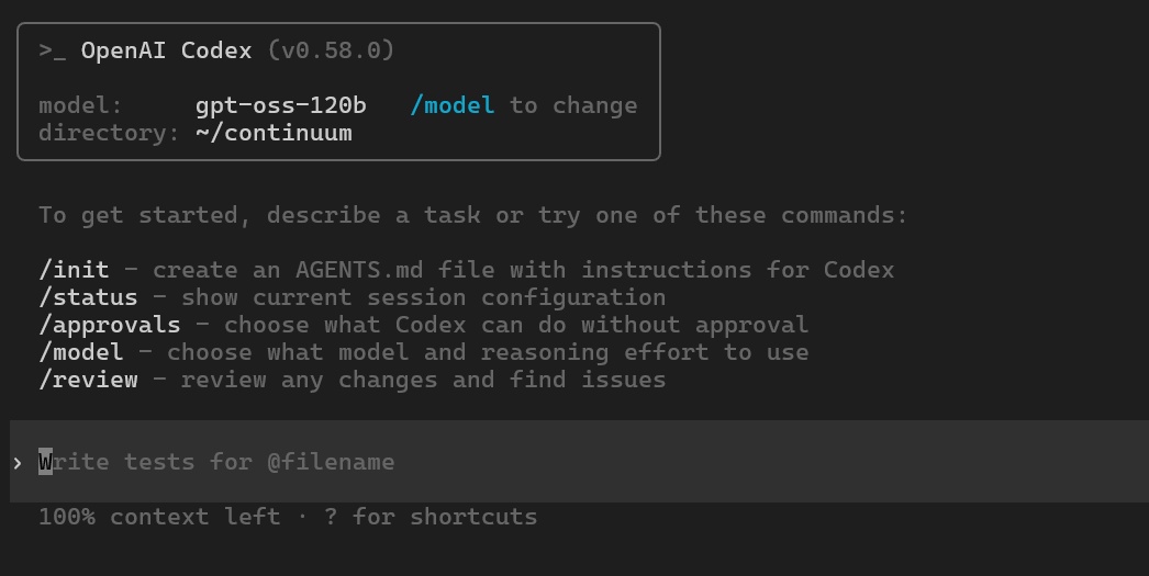 Screenshot of Codex + Privatemode