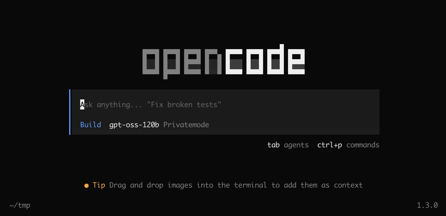 Screenshot of OpenCode + Privatemode